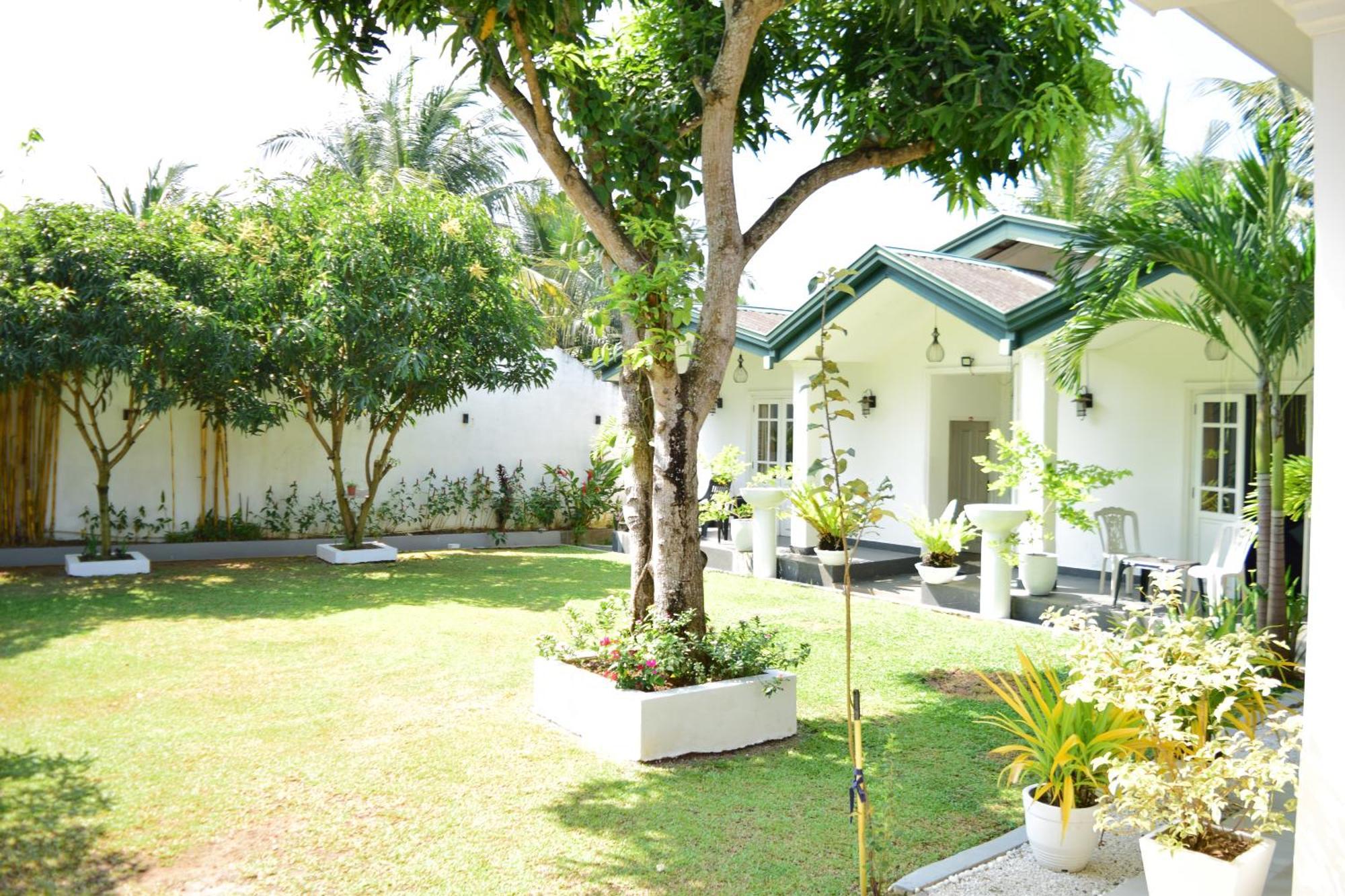 The Bamboo Tree Transit Hotel Катунаяка Экстерьер фото
