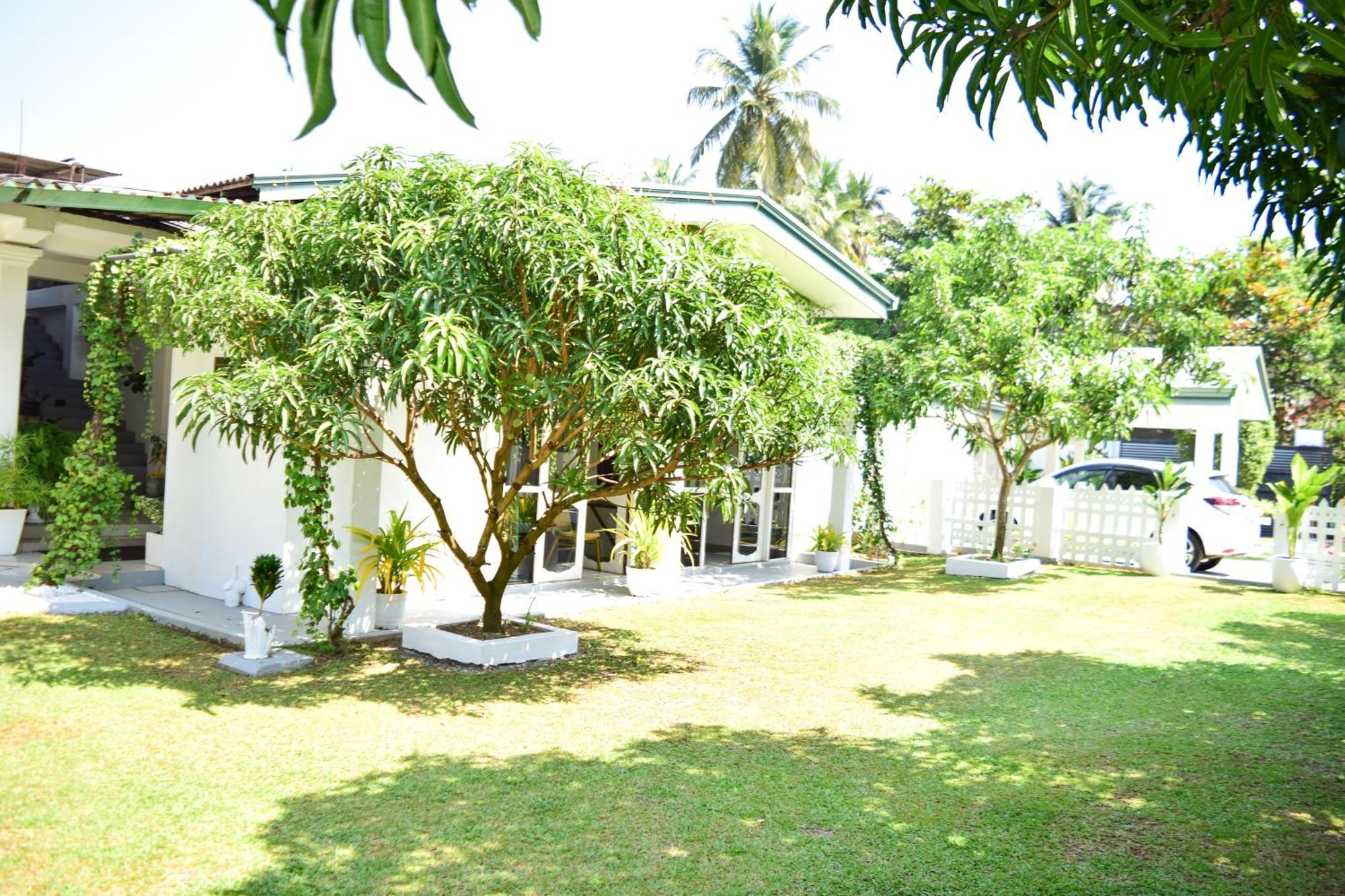 The Bamboo Tree Transit Hotel Катунаяка Экстерьер фото